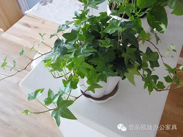 輕松解決辦公室內(nèi)各種污染！