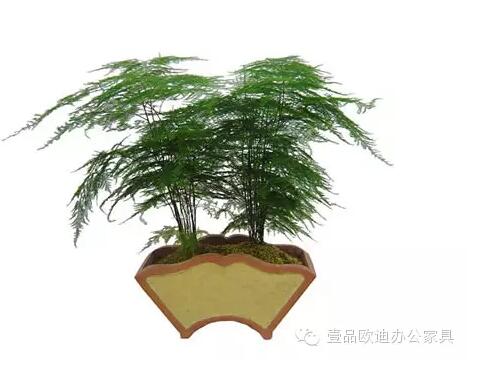 輕松解決辦公室內(nèi)各種污染！
